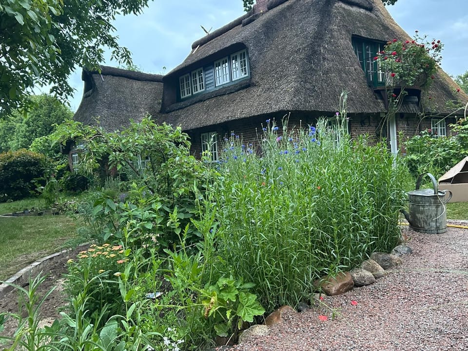 Reetdachhaus Bischoff House in Schleswig-Holstein