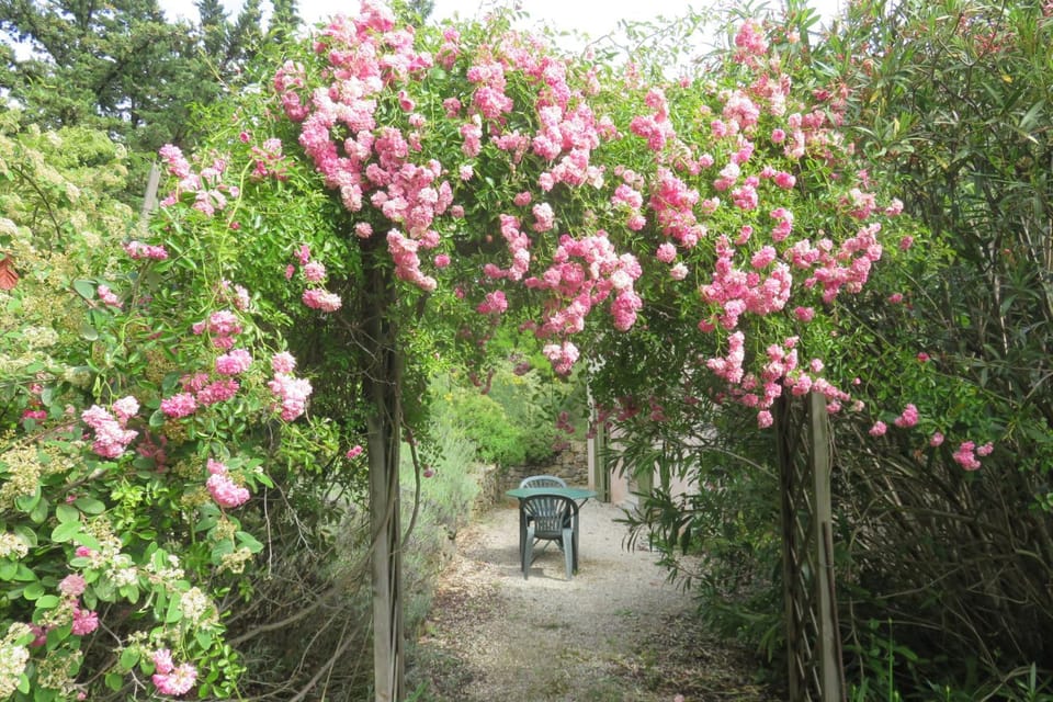 Patio, Spring, Natural landscape, Garden, Garden view