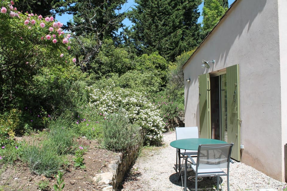 Patio, Spring, Garden, Dining area, Garden view