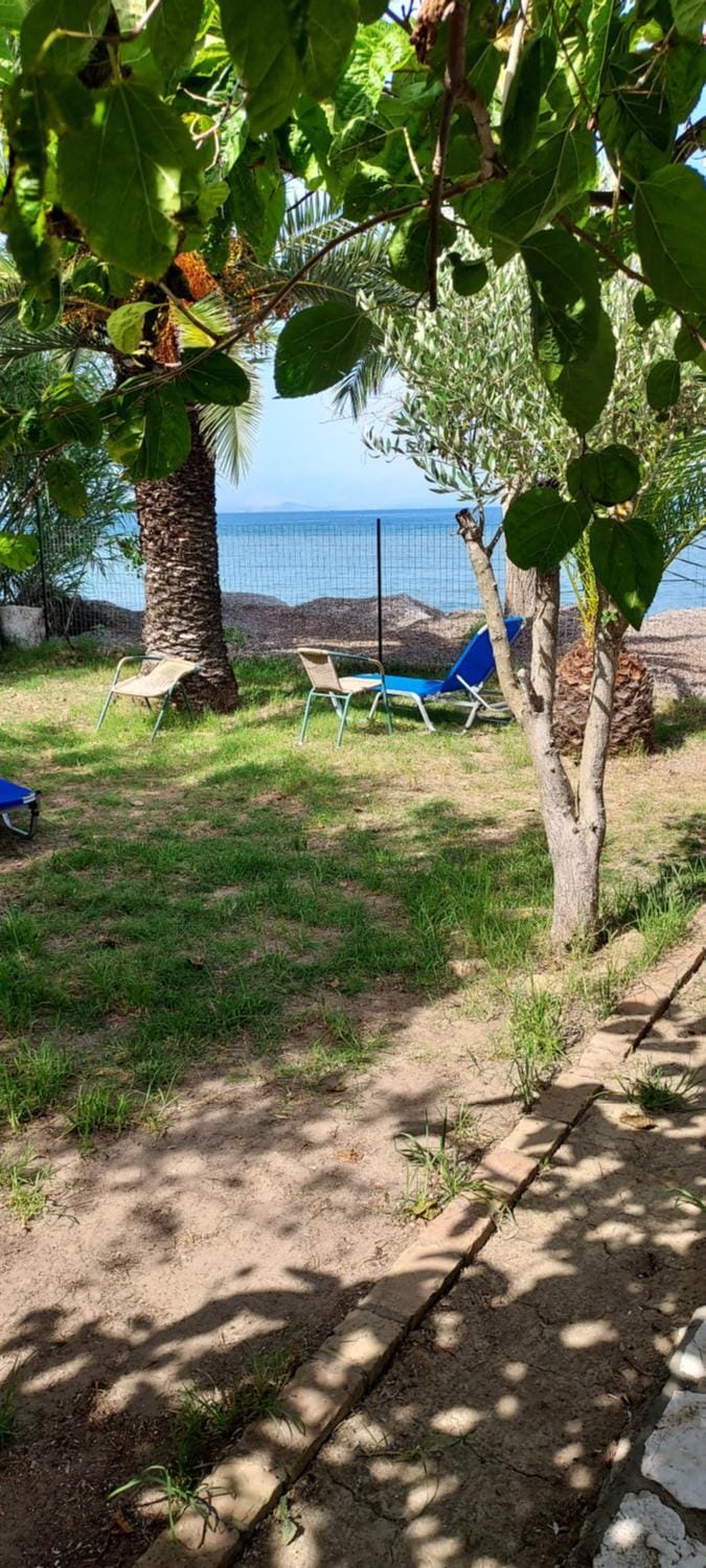 Natural landscape, Garden, Beach