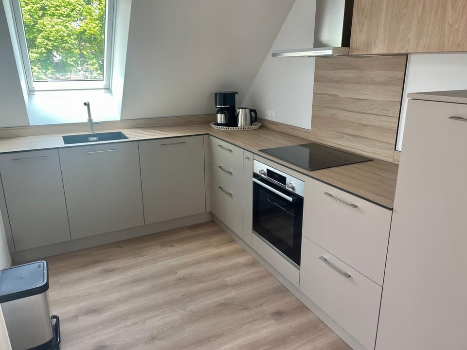 dishwasher, oven, stove