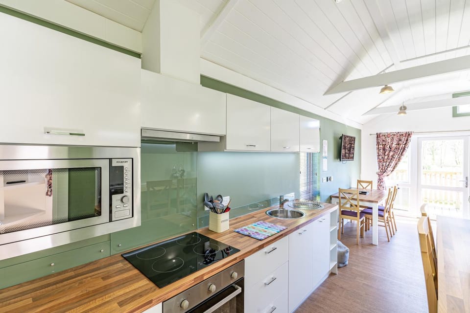 Kitchen or kitchenette, minibar, pet friendly, stove