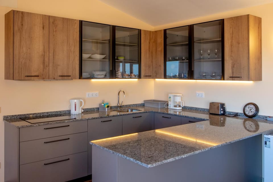 Kitchen or kitchenette, dishwasher, minibar, stove