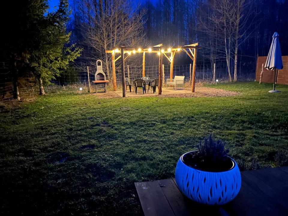 Night, Garden, Garden view