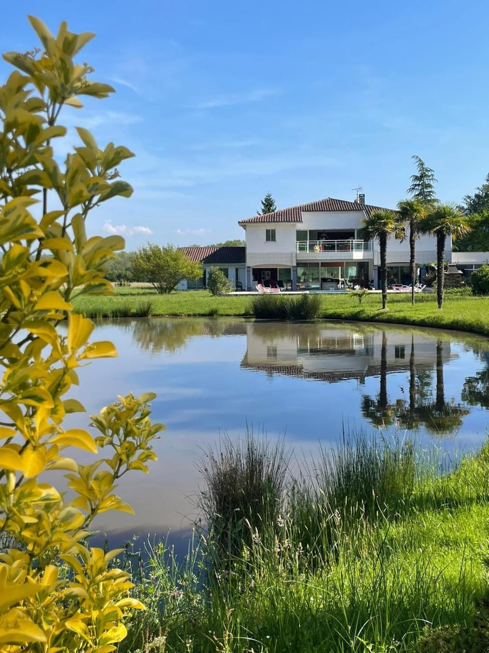 Day, Natural landscape, Garden, Garden, Garden view, Lake view, River view