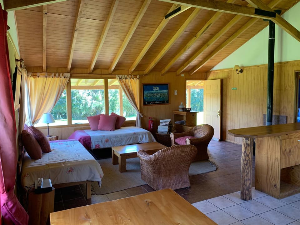 TV and multimedia, Living room, Photo of the whole room