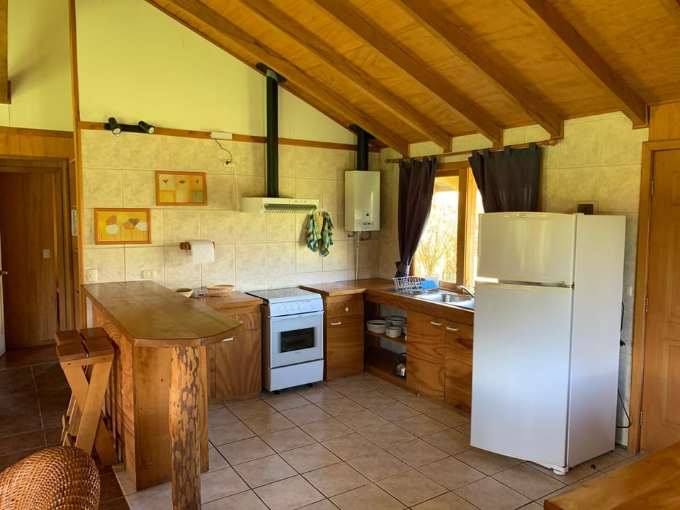 Kitchen or kitchenette, oven