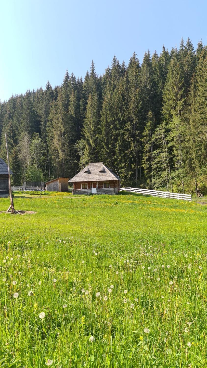Day, Natural landscape, Garden