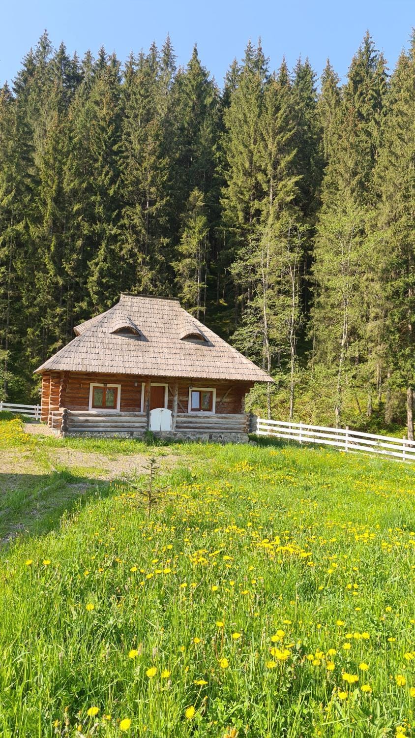 Property building, Spring, Garden