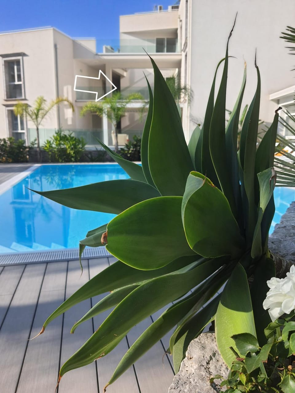 Pool view