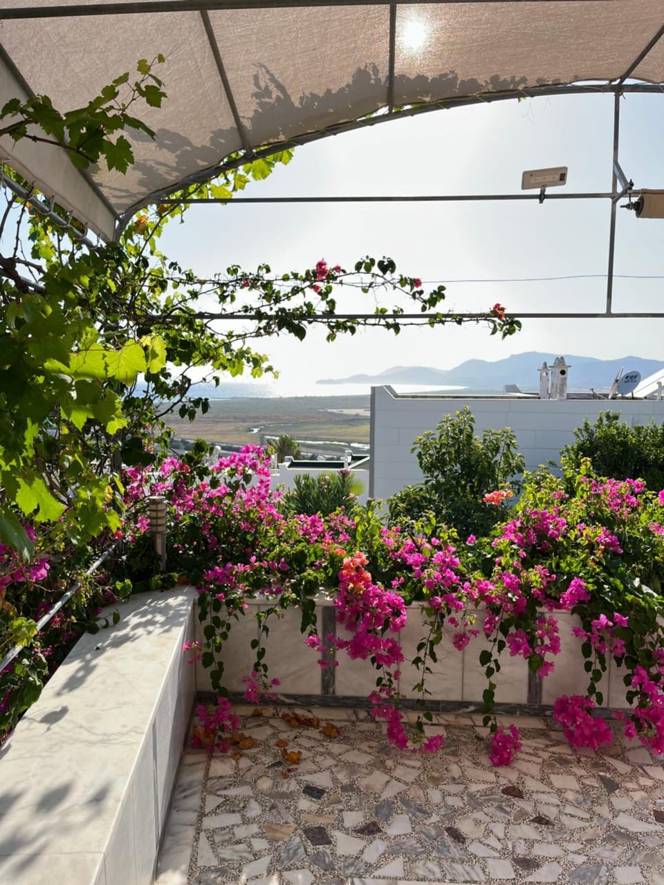 Day, View (from property/room), Balcony/Terrace, Garden view