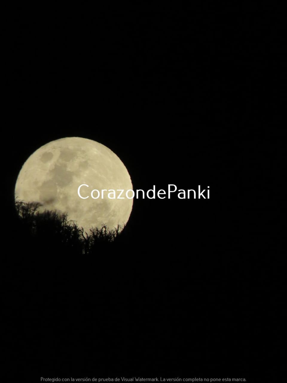 Corazon de Panki House in Araucania, Chile