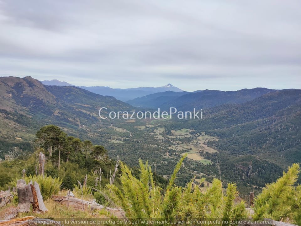 Corazon de Panki House in Araucania, Chile