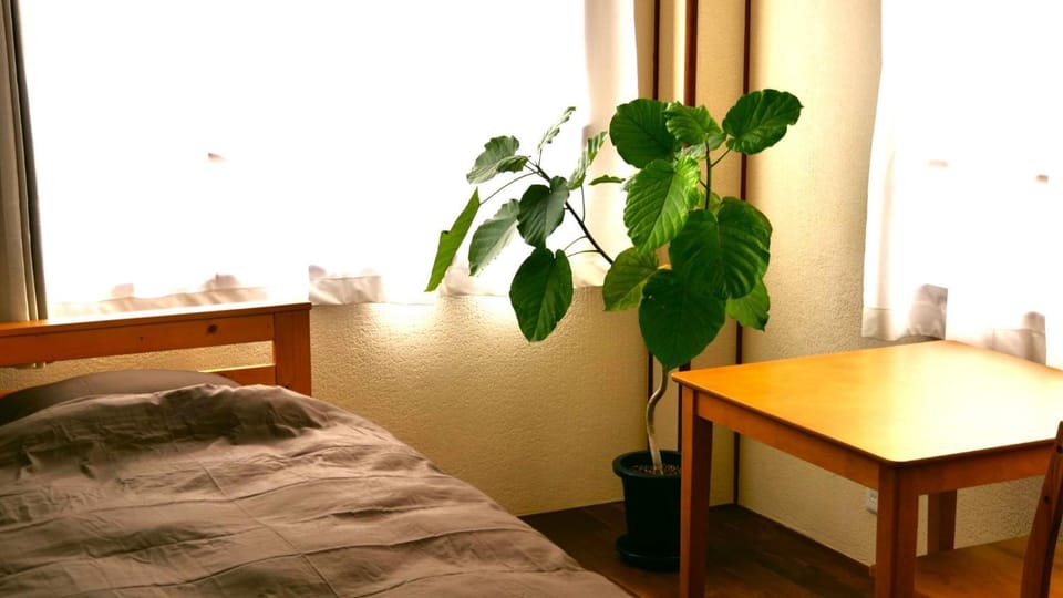 women only ulala guesthouse - Vacation STAY 44819v Bed and Breakfast in Japan