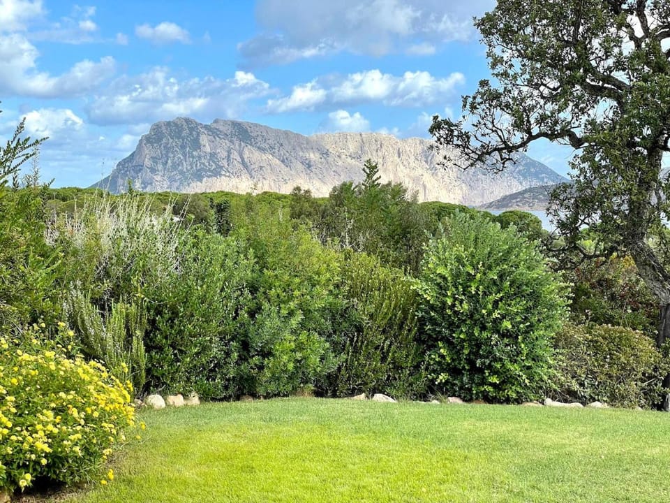 Natural landscape, Garden