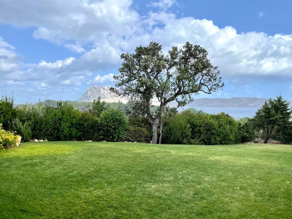 Natural landscape, Garden, Garden, Garden view