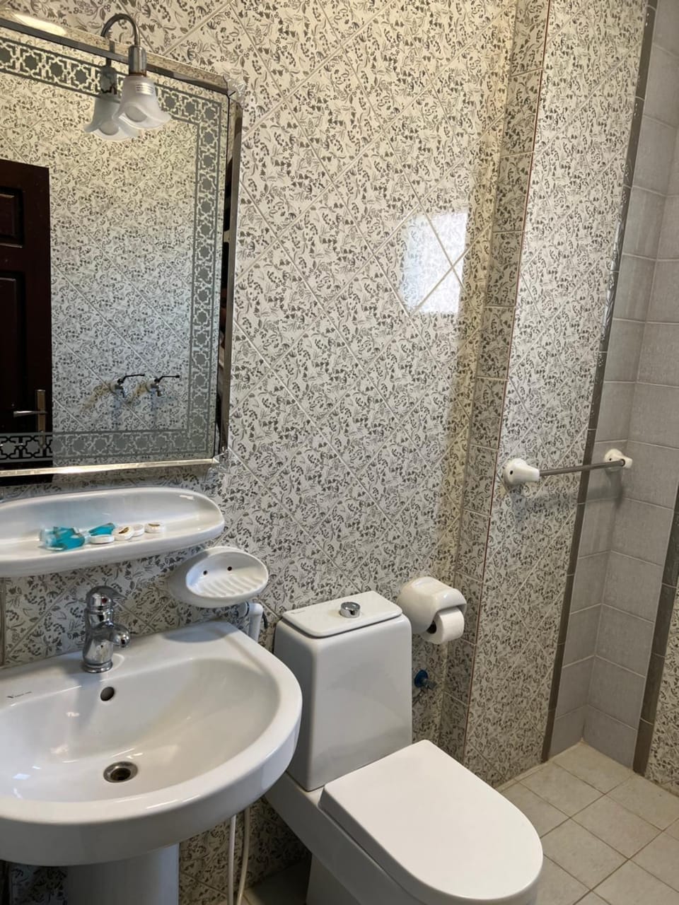 Shower, Toilet, Bathroom, bidet