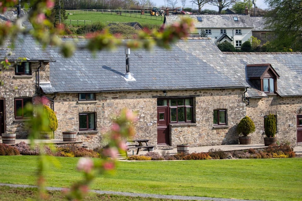 Property building, Garden, Garden view