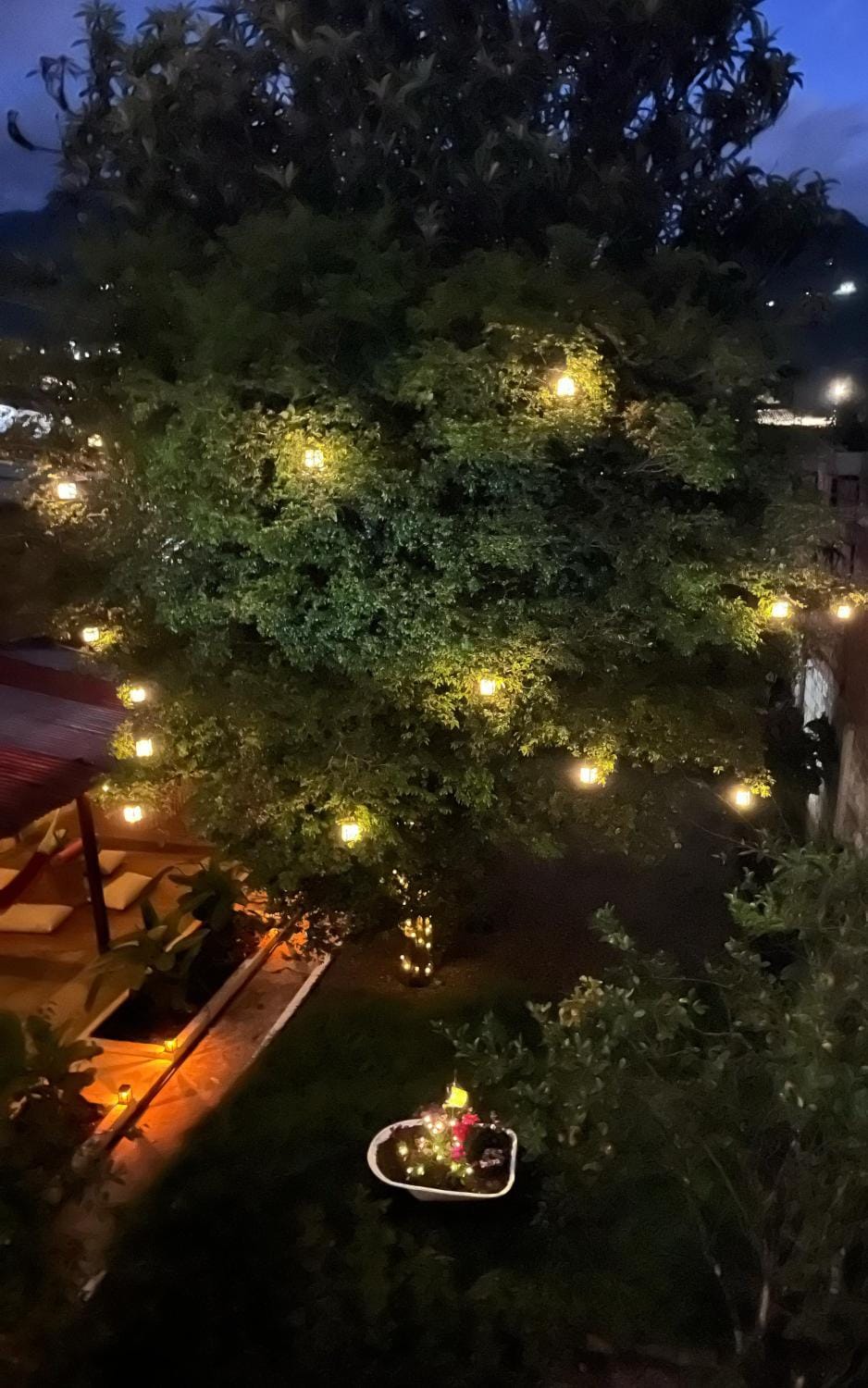 Patio, Night, Garden, Garden view