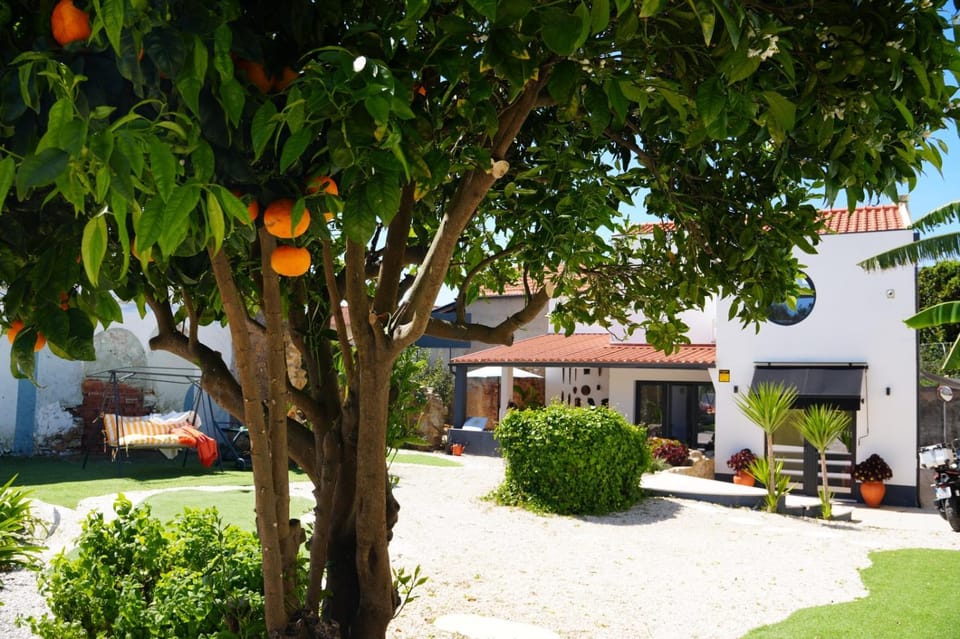 Property building, Patio, Garden, Garden view