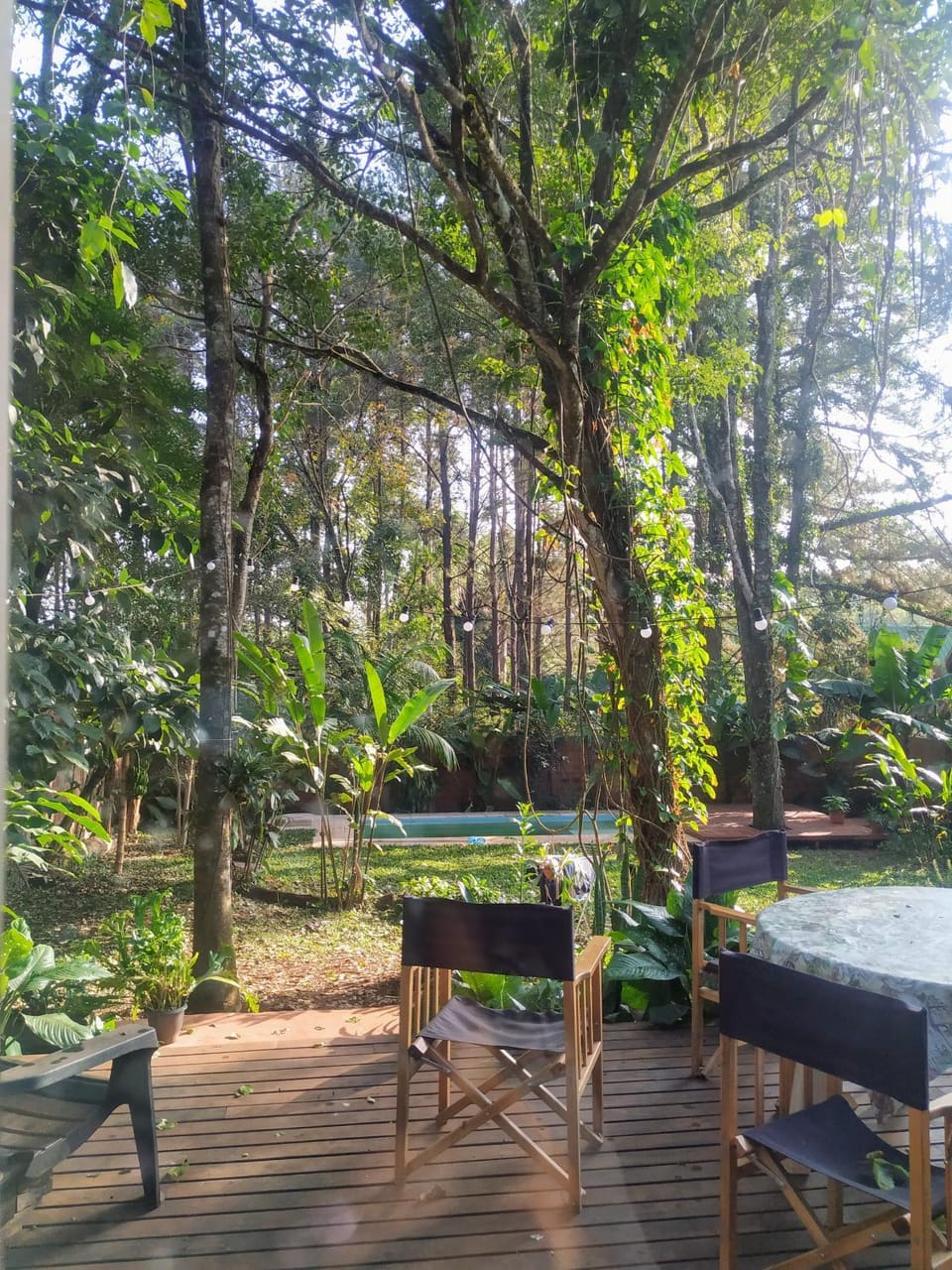 Day, Natural landscape, Garden, Balcony/Terrace, Garden view, Swimming pool