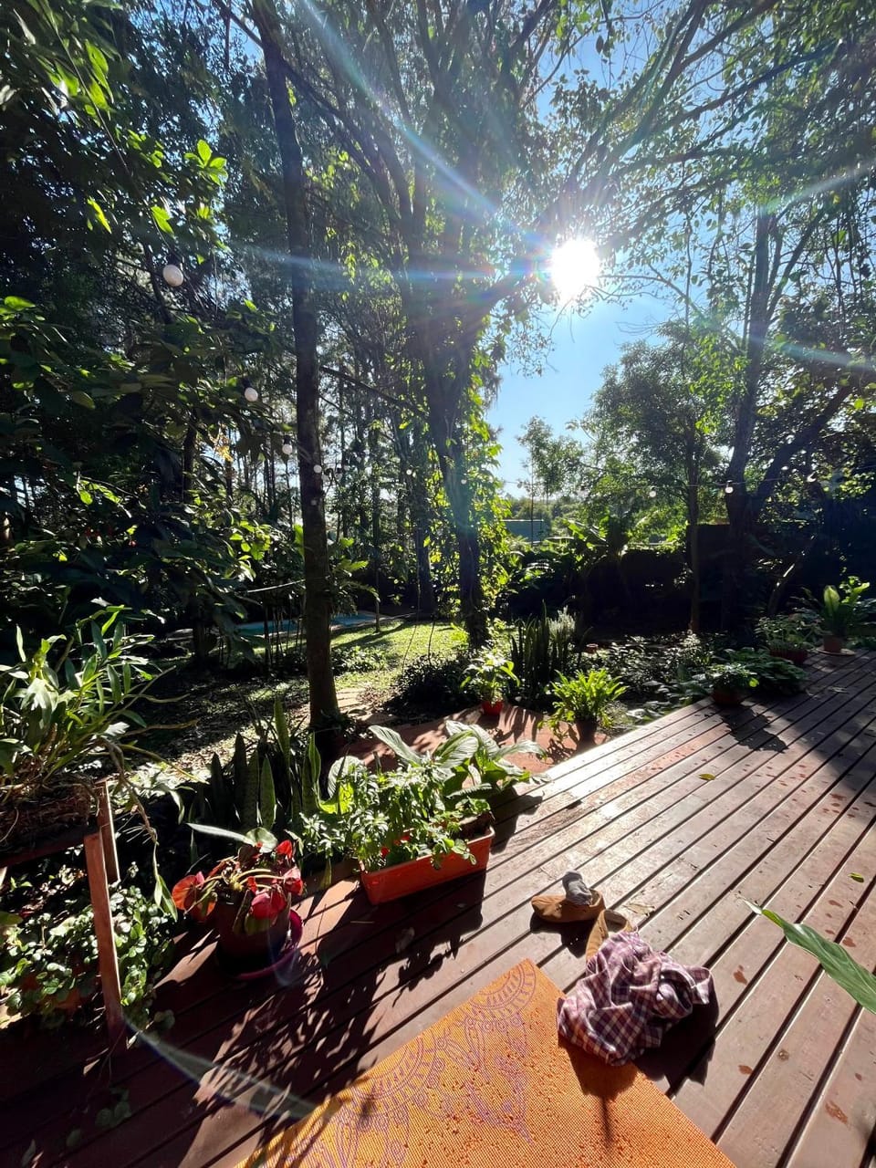 Day, Garden, Garden view