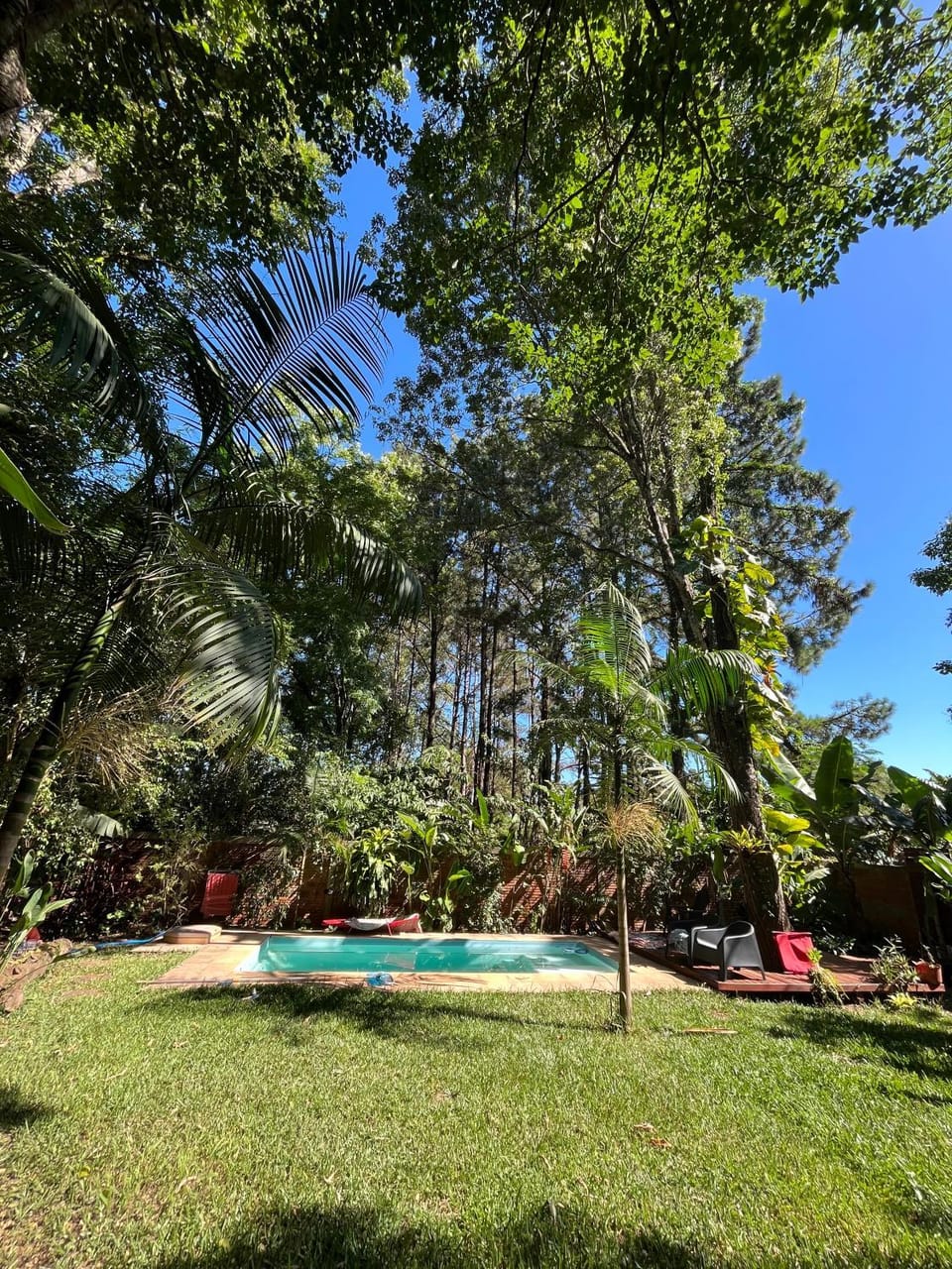 Day, Garden, Pool view, Swimming pool