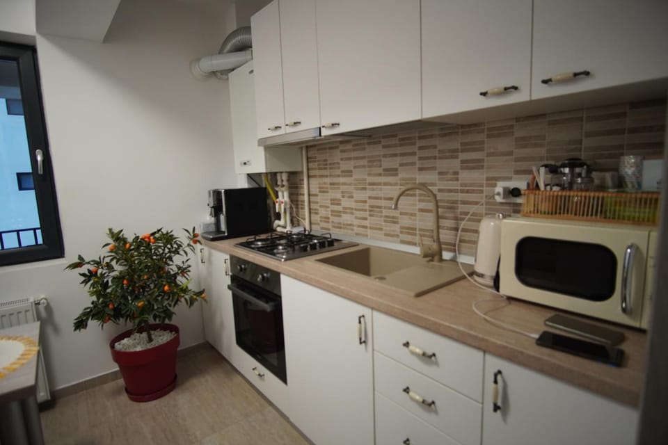 Carmen's nest Apartment in Bucharest