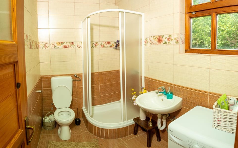 Shower, Toilet, Bathroom, towels