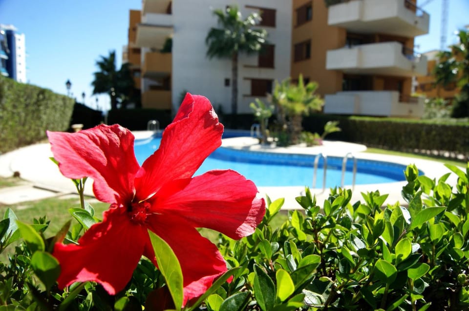 Garden view, Pool view
