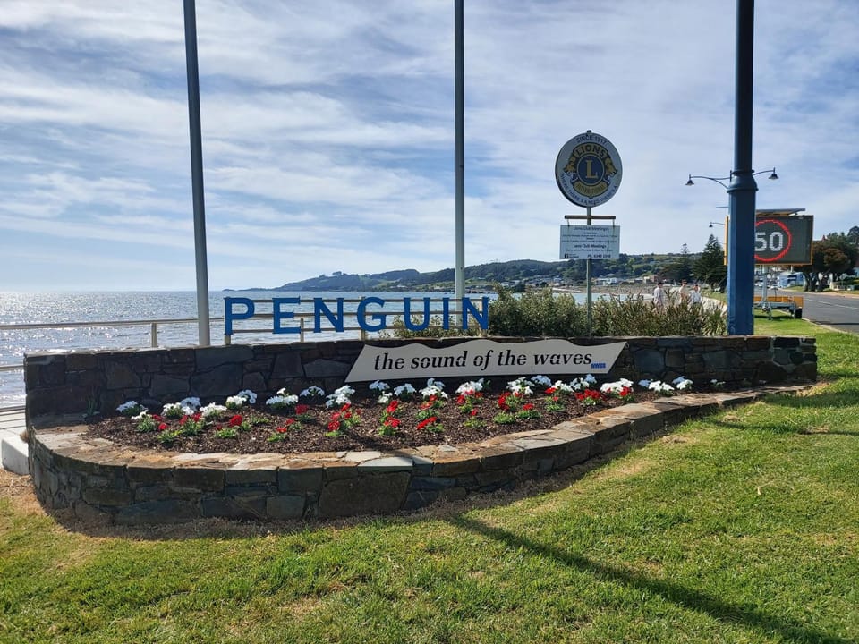 Empty Nest Apartment in Penguin