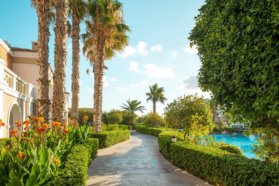 Garden, Swimming pool