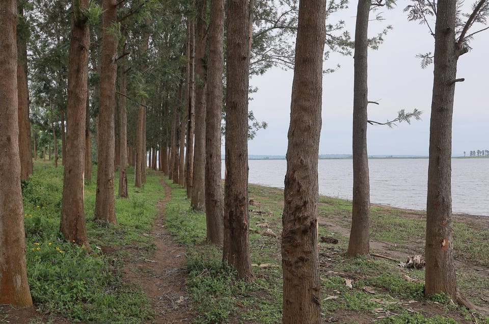 Lakeside Fish Farm Farm Stay in Africa