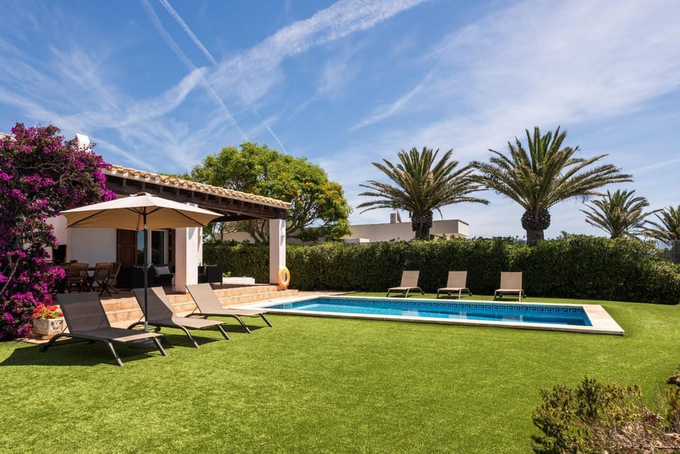 Patio, Garden, Garden view