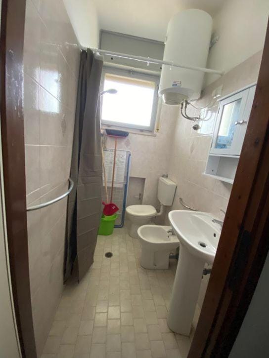 Shower, Toilet, Bathroom, bidet