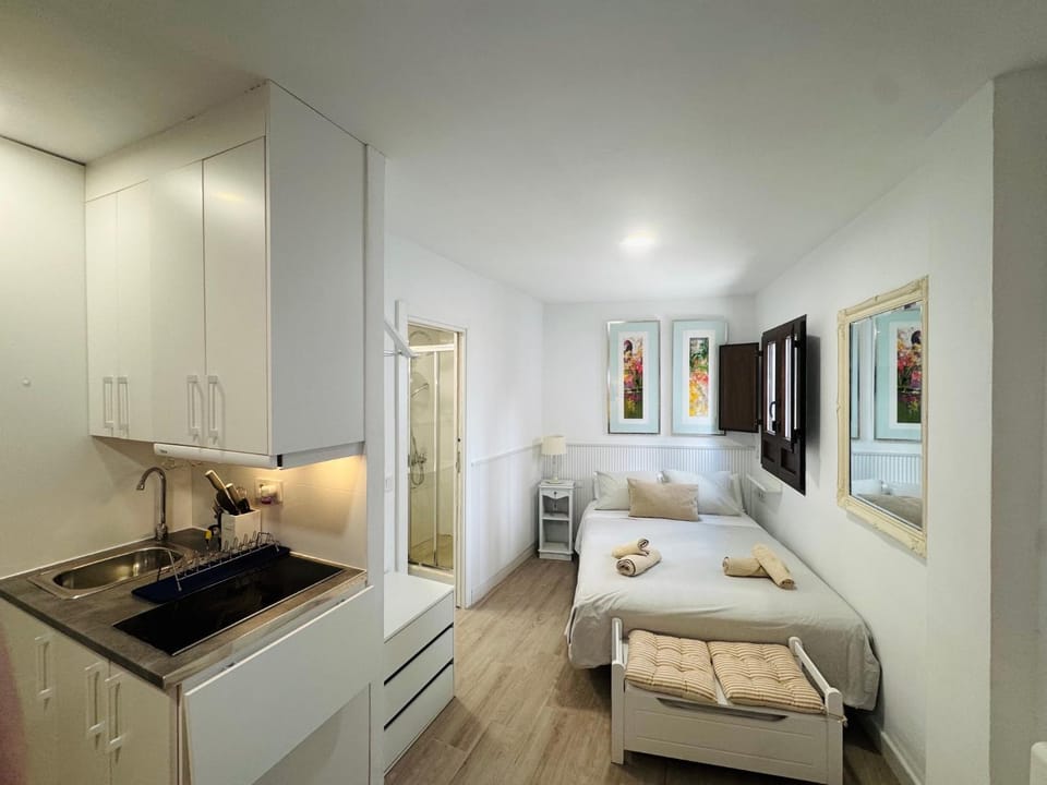 Espiral Abades Apartment in Cordoba