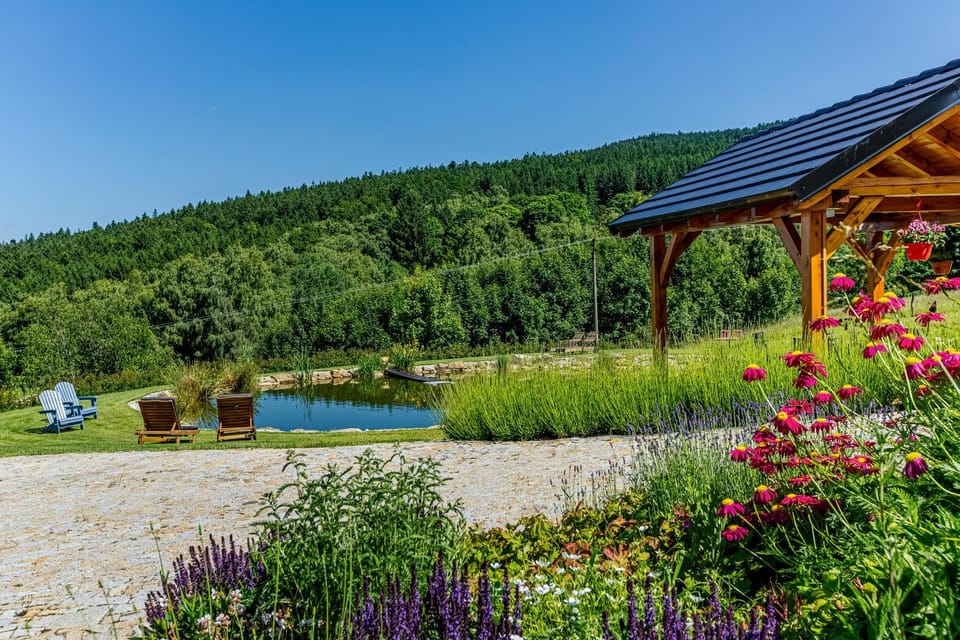 Garden view