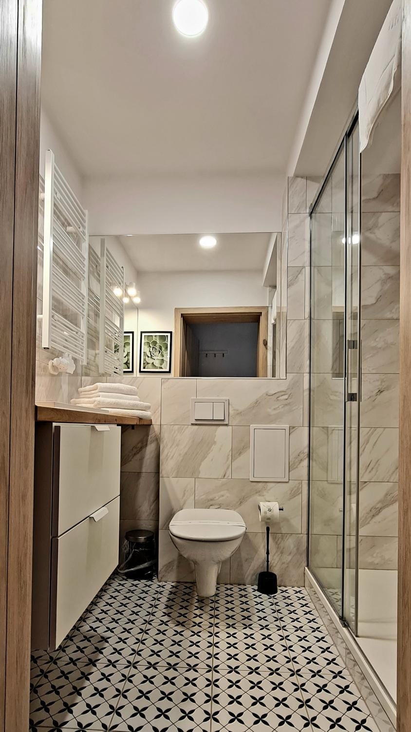 Shower, Toilet, Bathroom, towels