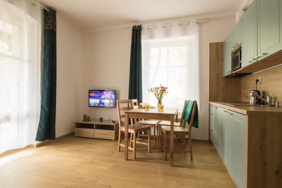 TV and multimedia, Kitchen or kitchenette, Living room, Seating area, Dining area, minibar, stove