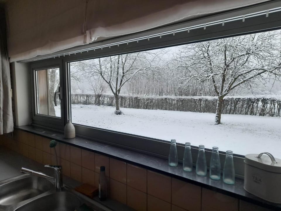 Natural landscape, Winter, View (from property/room)