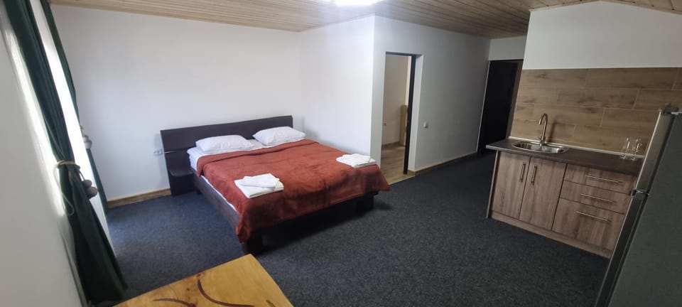 Bed, Kitchen or kitchenette, Photo of the whole room, Bedroom