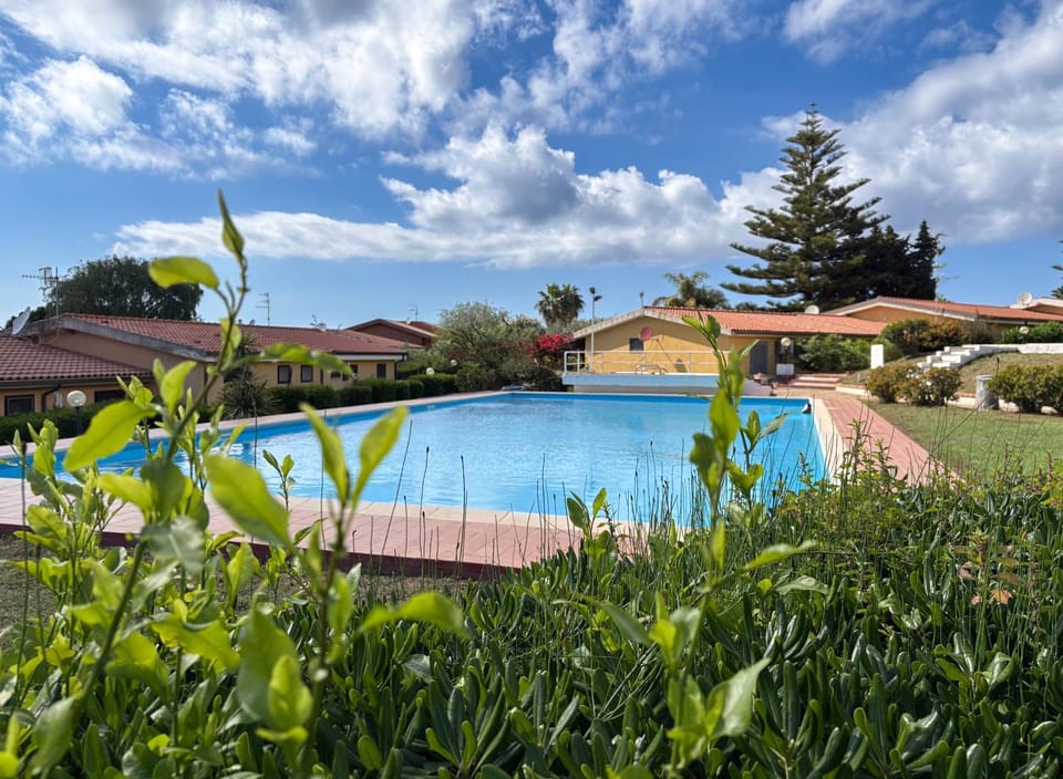 Spring, Day, Natural landscape, Garden, Garden view, Pool view, Swimming pool