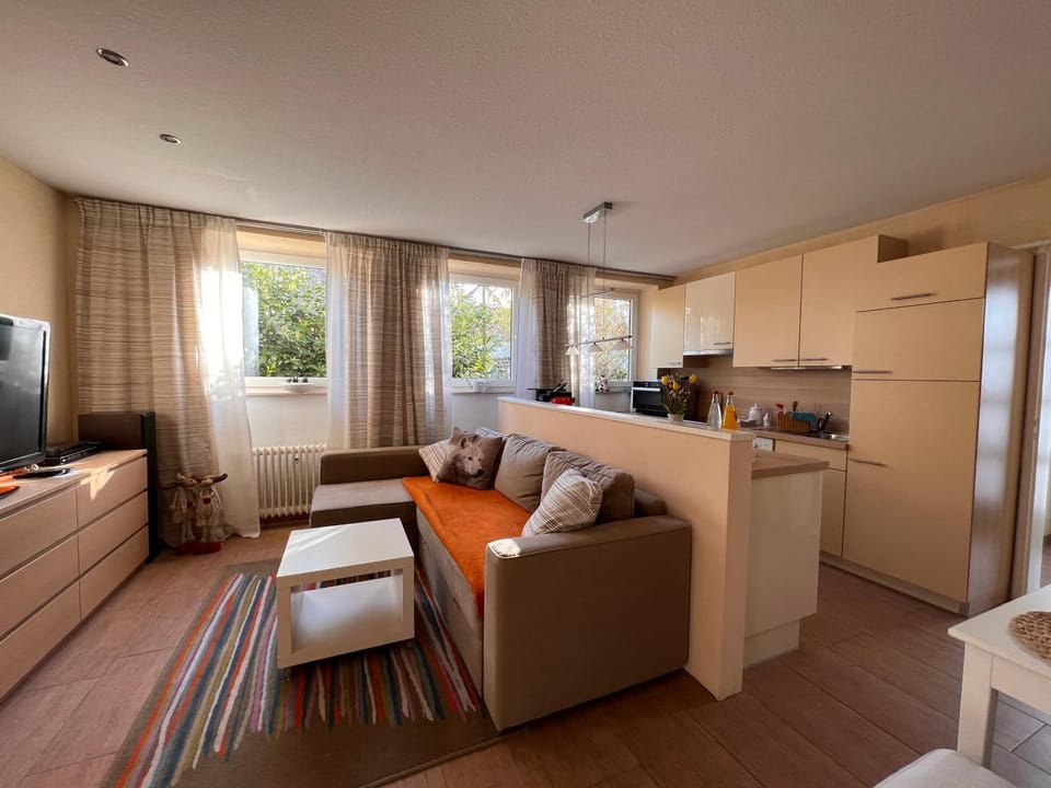 Kitchen or kitchenette, Living room