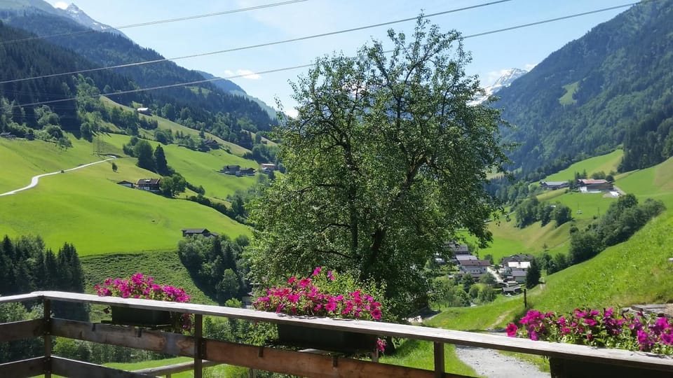 Natural landscape, View (from property/room), Mountain view