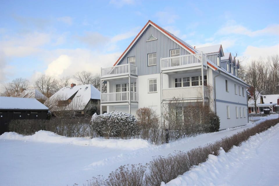 Property building, Winter