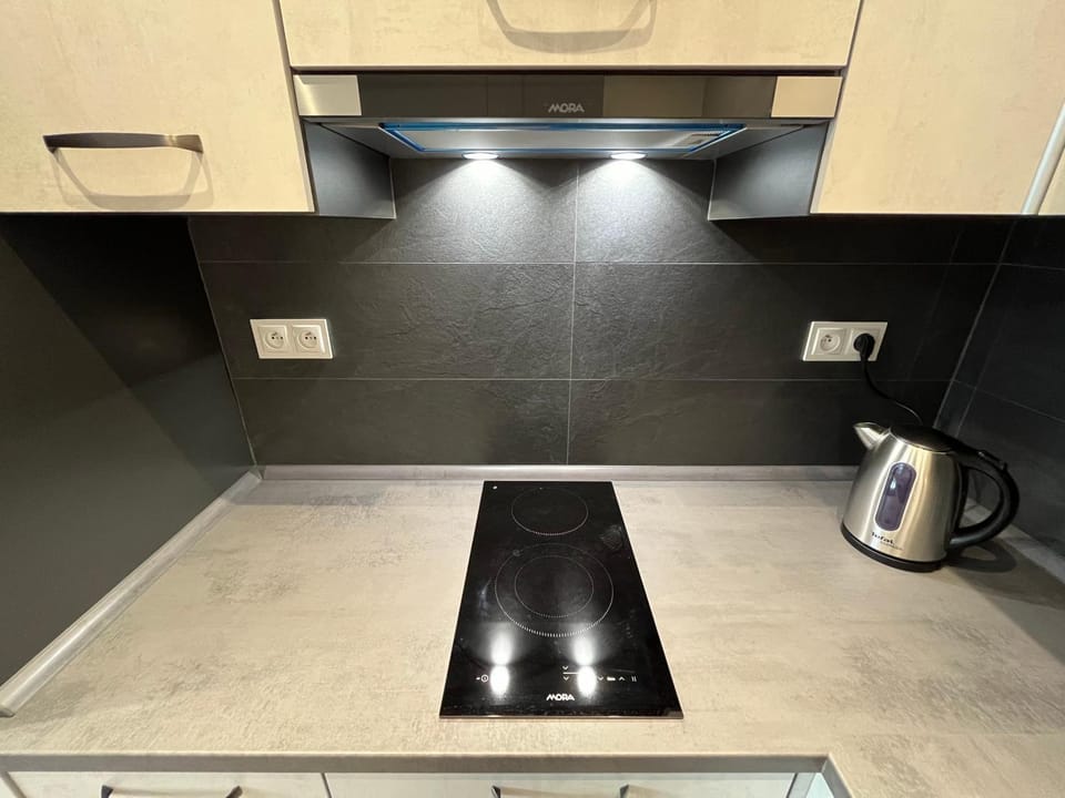 Kitchen or kitchenette, kitchen