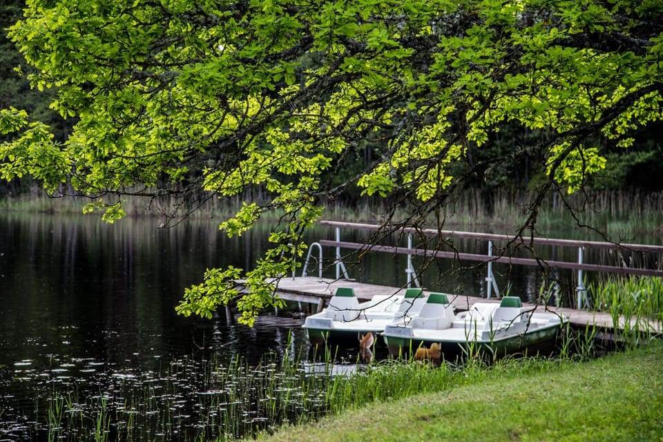 Natural landscape, Lake view