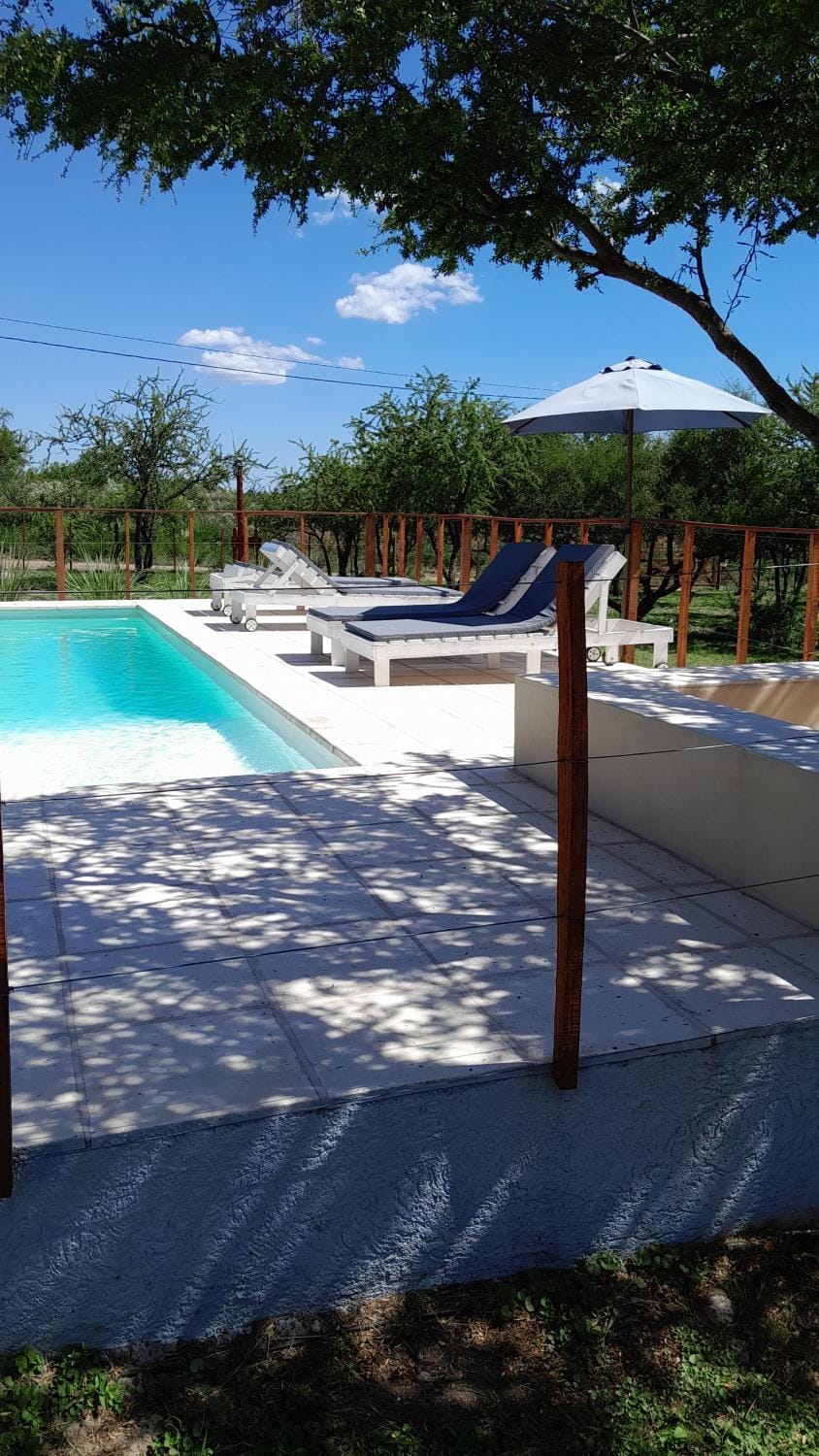 Day, Pool view, Swimming pool, Swimming pool, sunbed