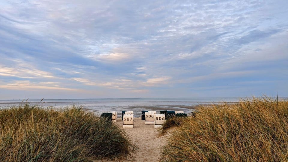 Natural landscape, Beach