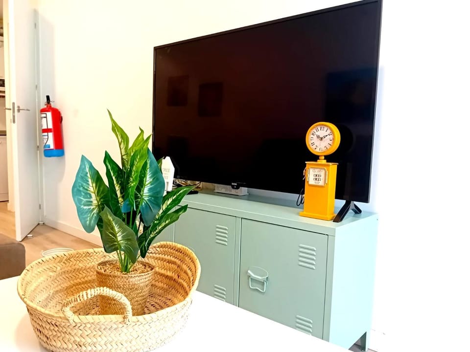 TV and multimedia